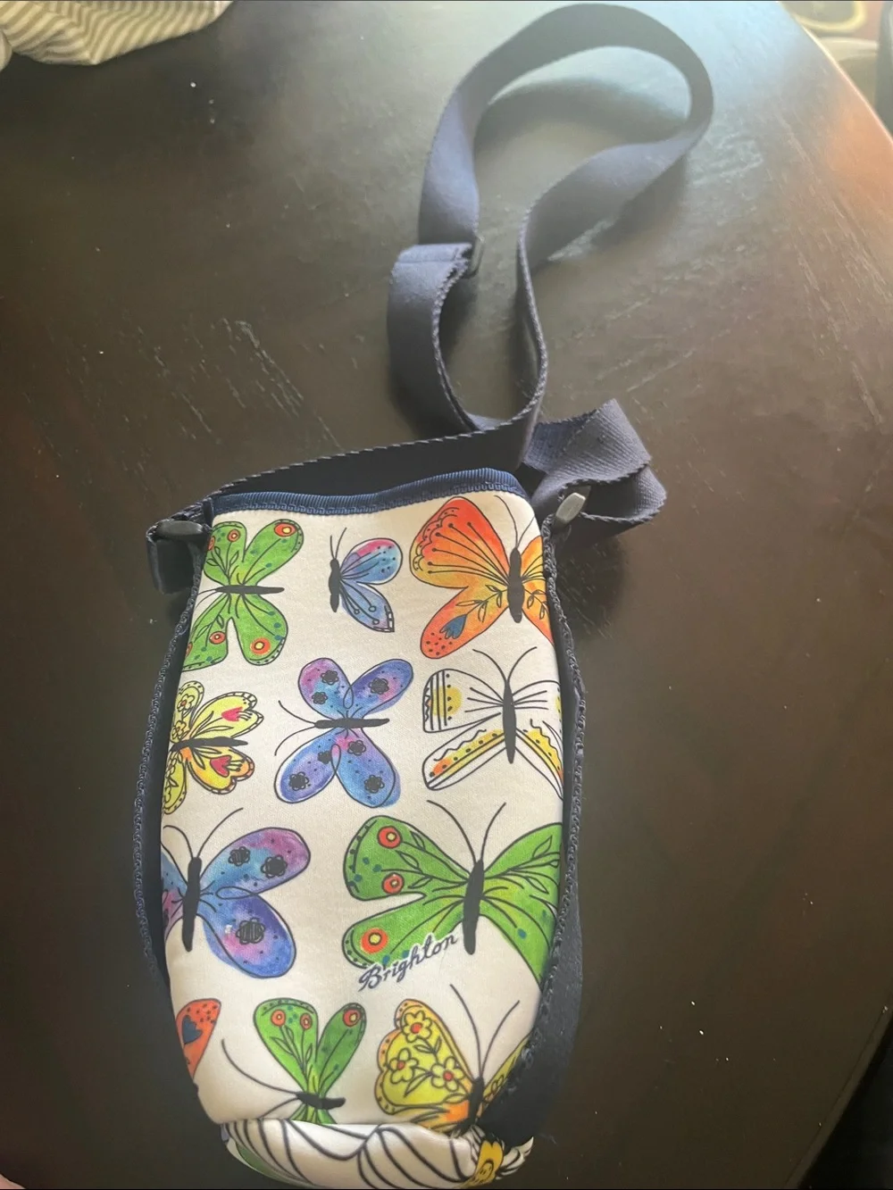 Brighton Multicolor Butterfly Crossbody Bag - Blue, Yellow, Green, Purple